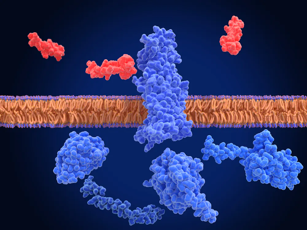 le smaglutide Semaglutide - Research Peptide Mdicament Smaglutide En Flacon En