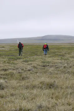 Two men in hiking gear walk through a field.