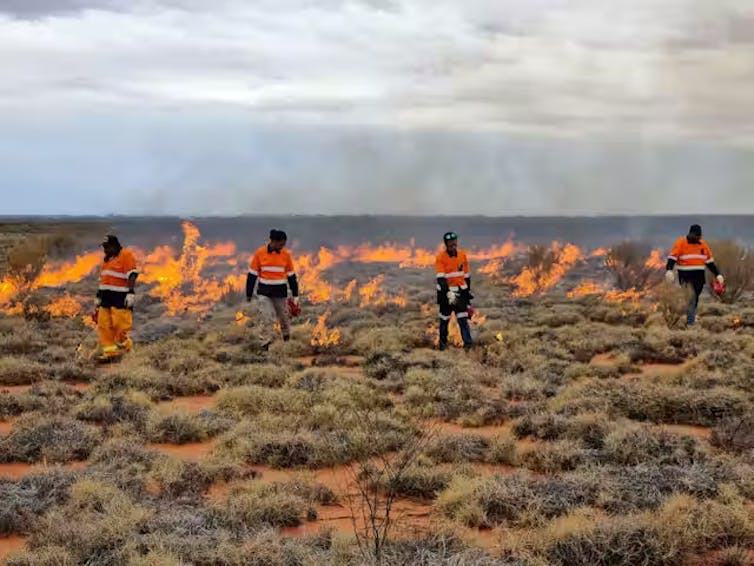 indigenous rangers using drip torches to start cultural burns