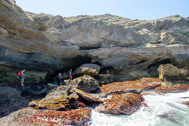 Four people navigating a craggy section of a coastline