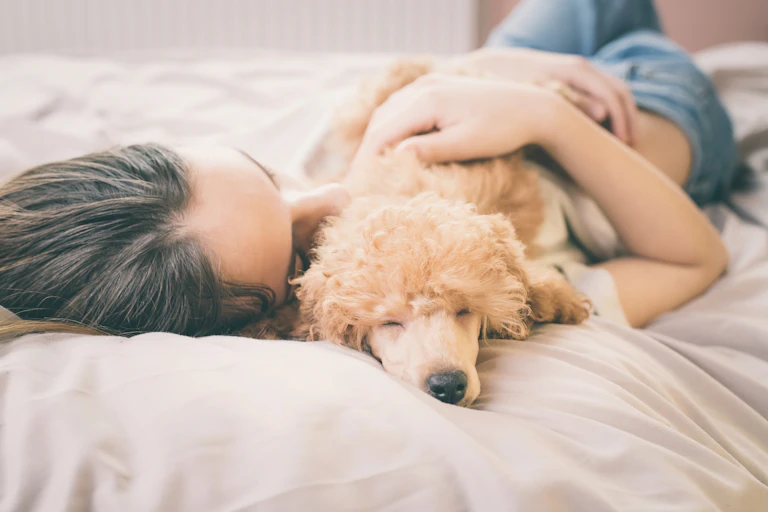 Woman and poodle asleep in bed