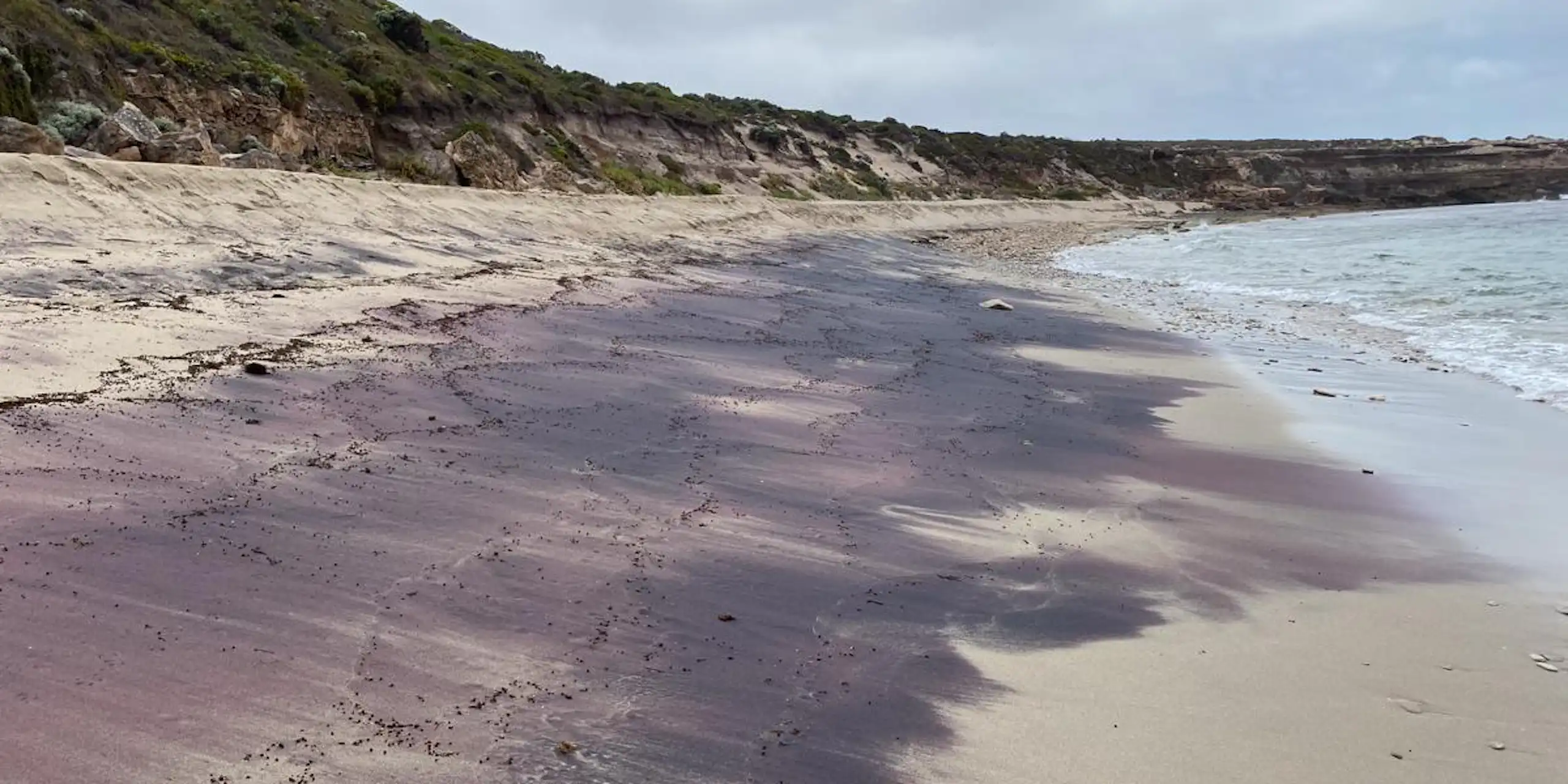 Pink sand on a beach near Adelaide.