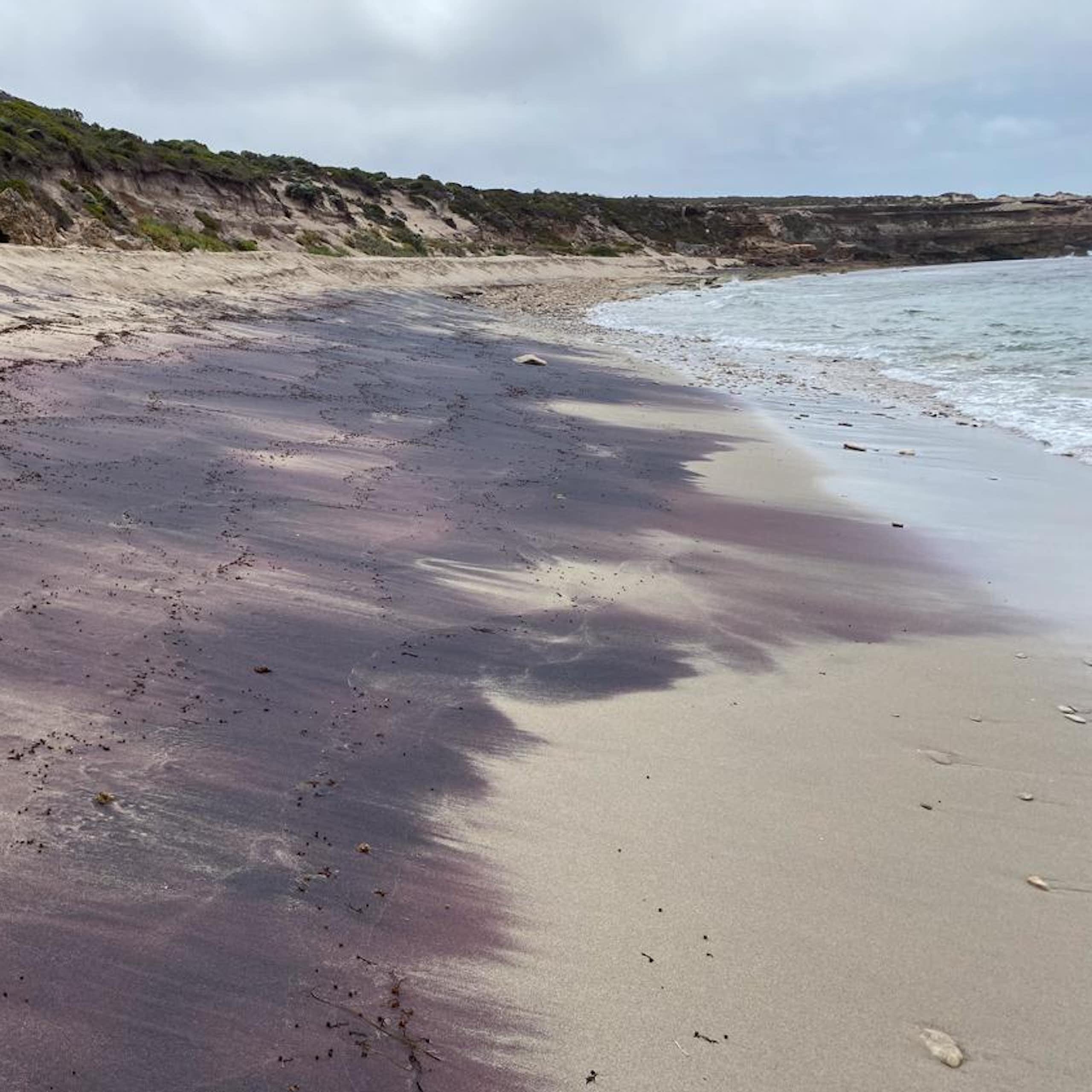 Pink sand on a beach near Adelaide.