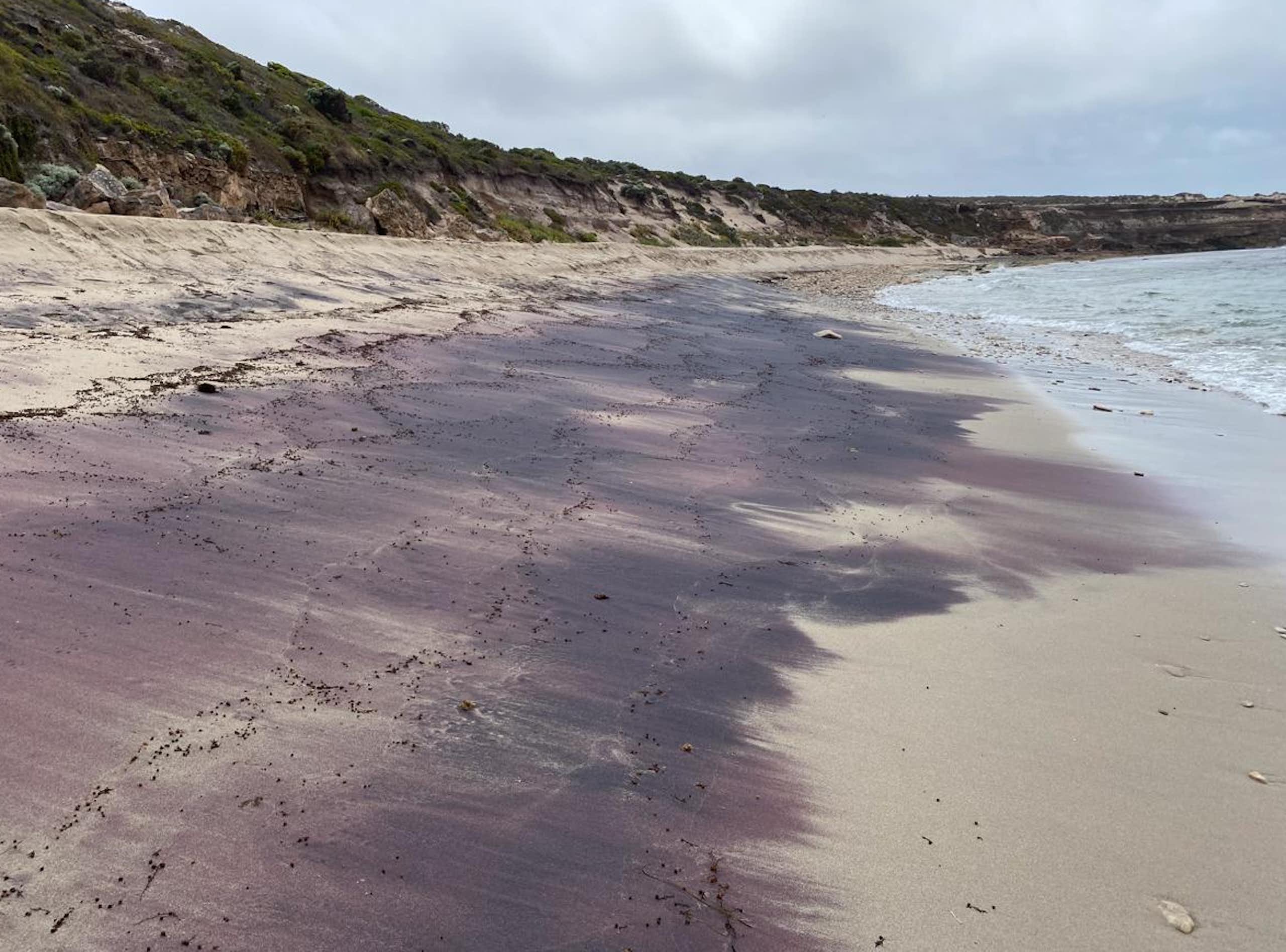 Pink sand on a beach near Adelaide.