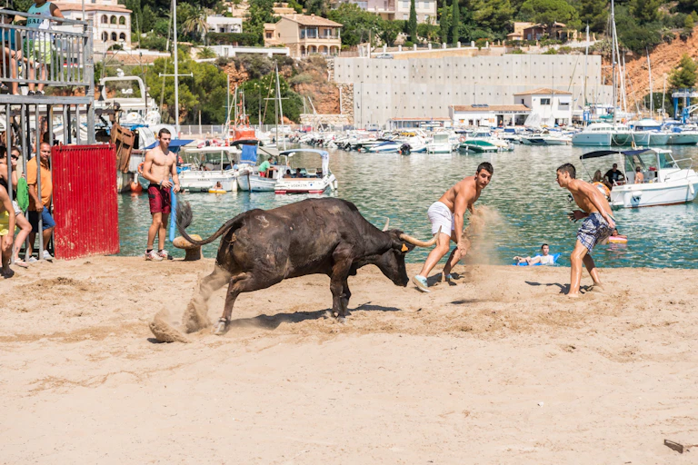 Una vaquilla persiguiendo a dos chicos durante la festividad Nuestra Señora de Loreto el 2 de septiembre de 2013 en Jávea, España.