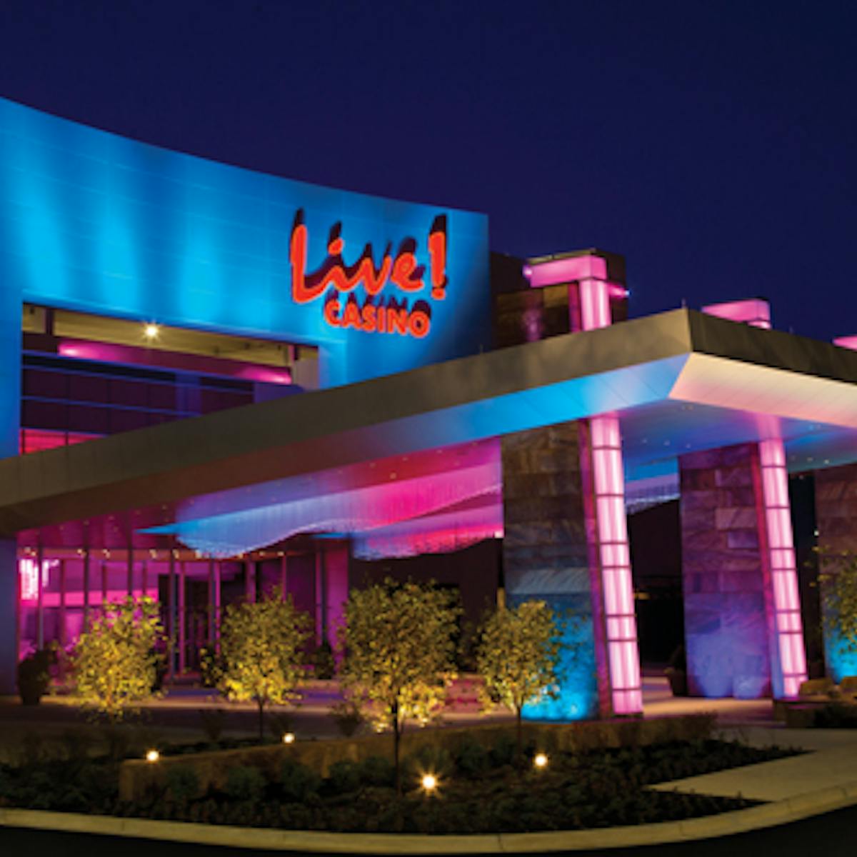 Casino in new zealand jobs 2017 Casino in new zealand jobs 2017