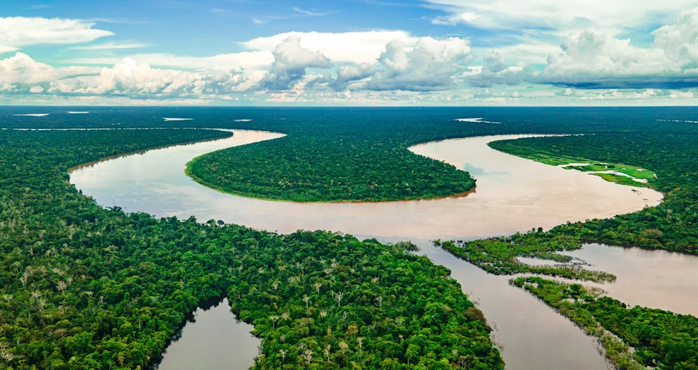 As Colombia hosts a UN biodiversity summit, its own Amazonian rainforest is in crisis