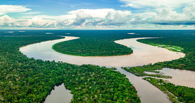 Amazon river from above