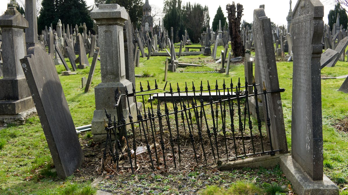 Losing The Plot Death Is Permanent But Your Grave Isn T Losing The Plot Death Is Permanent But Your Grave Isn T