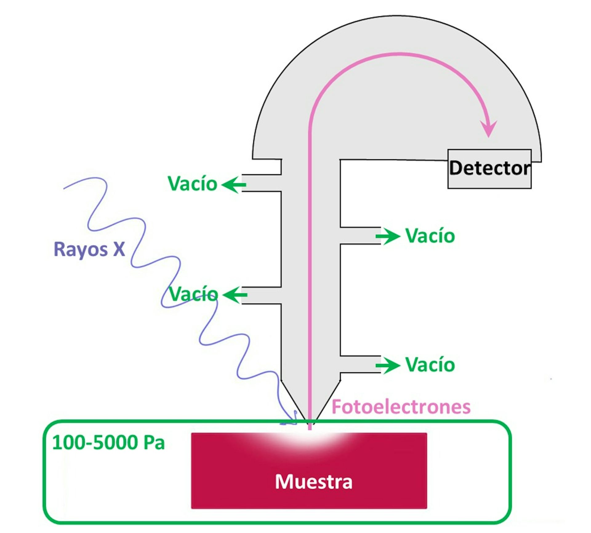 file 20241025 17 a3gwjc.jpeg?ixlib=rb 4.1