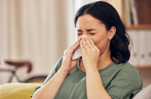 What are house dust mites and how do I know if I’m allergic to them?