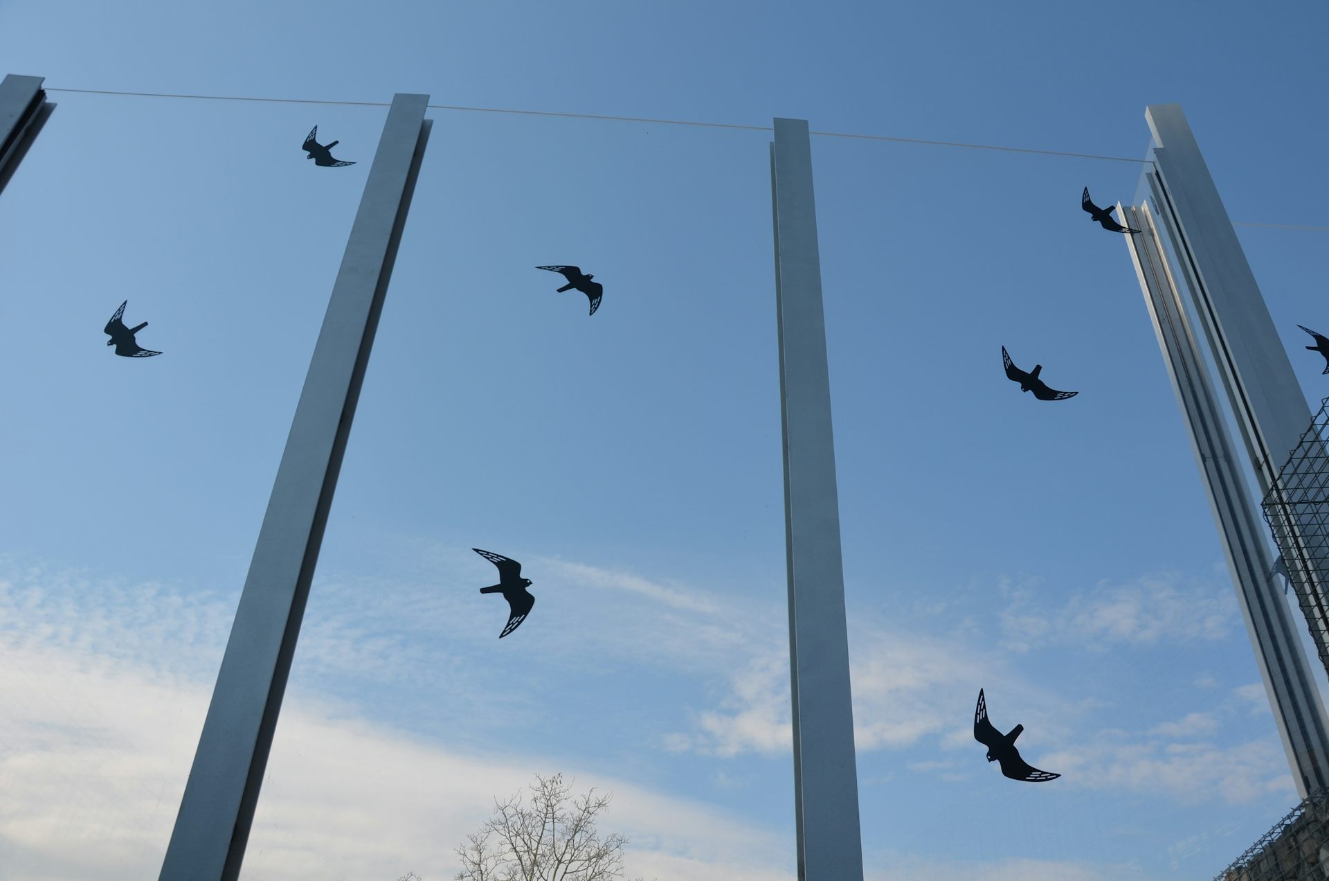 An image of a transparent wall with bird decals.
