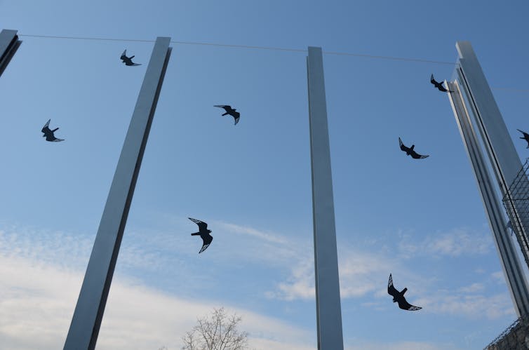 An image of a transparent wall with bird decals.