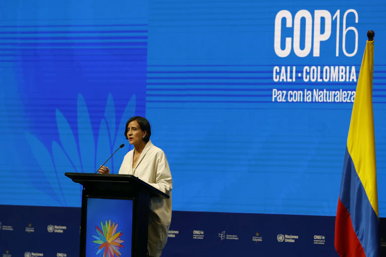 A speaker at the podium at the COP16 Conference in Cali, Colombia
