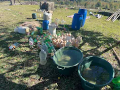 Dozens of bottles and buckets on a small farm.