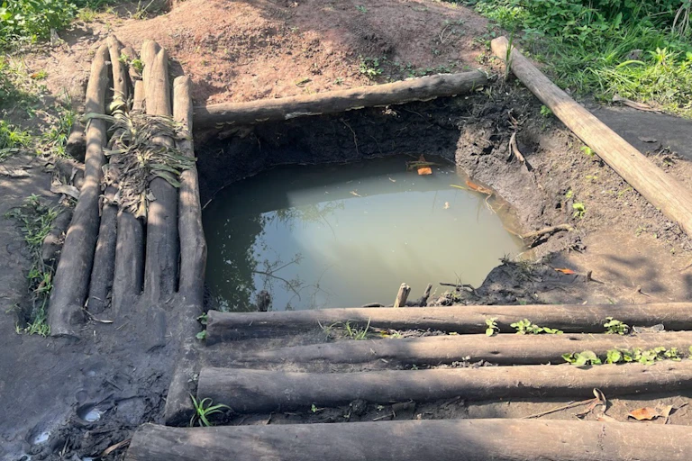 A hand dug well with branches around it