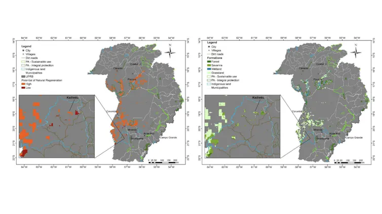 Imagem mostra dois mapas da Bacia Alto Paraguai. À esquerda, manchas laranjas e vermelhas mostram regiões com alto o baixo potencial de regeneração natural. À direita, diferentes tons de verde mostram tipo de vegetação na região.