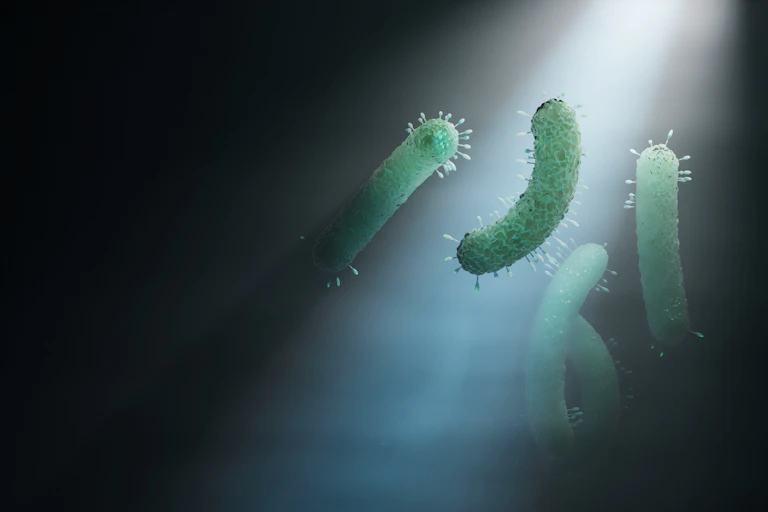 Illustration of bacteria flowing in a beam of light in the darkness