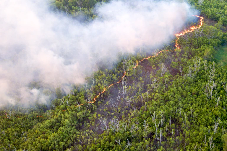 Aerial photo of a line of fire moving through a wooded landscape.
