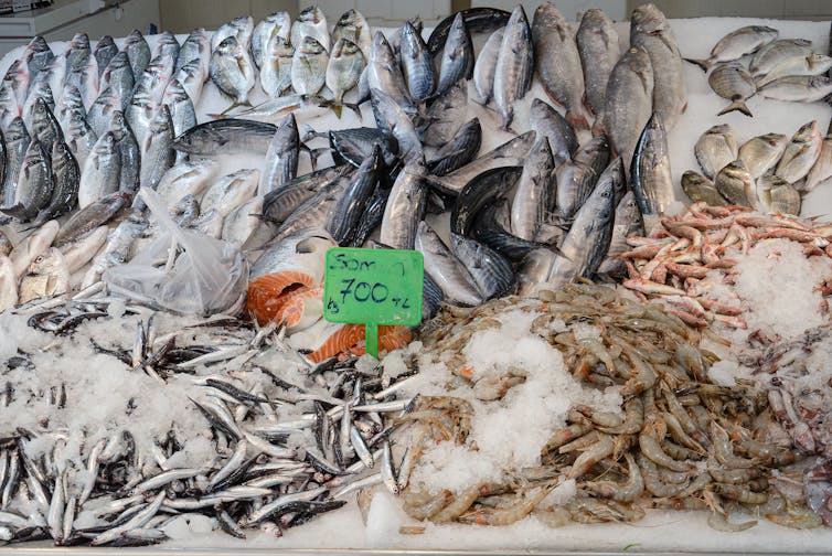 market shot of different fresh fish laid out on ice