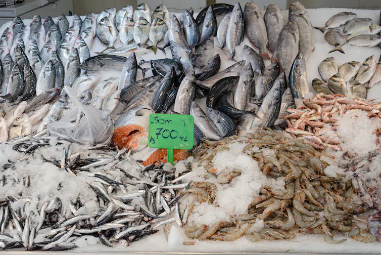 market shot of different fresh fish laid out on ice