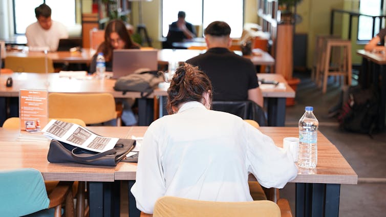Students study at university.