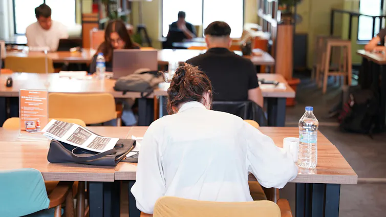 Students study at university.