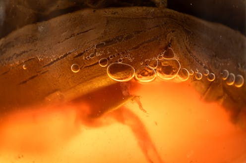 Fermented clothing? Here’s how the biofilm on kombucha can be turned into green textiles
