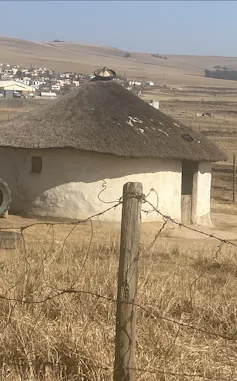 A circular building with a thatched roof.