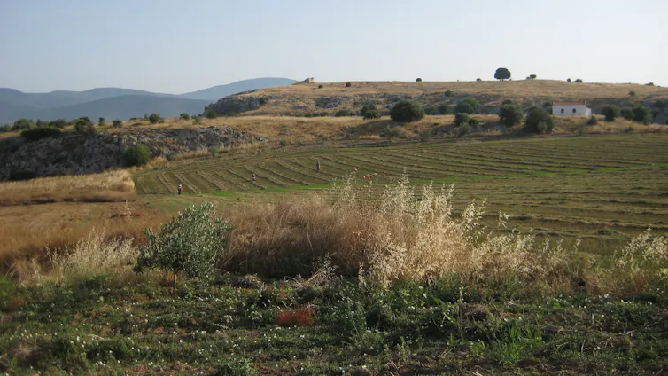 The acropolis of ancient Eleon from the south.