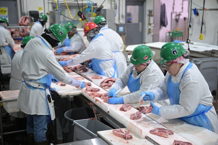 Meat packing employees sort and package meat.
