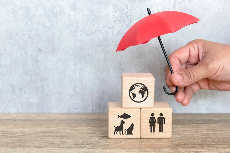 Umbrella covering building blocks