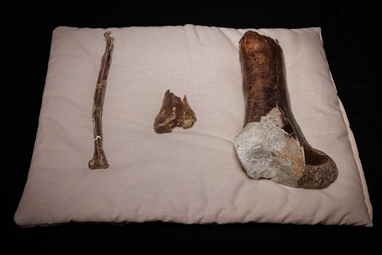 A pillow with three discoloured bones on it.