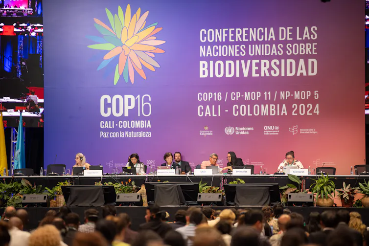 panel of speakers sat at desk, big screen in background announcing Cop16 in Spanish