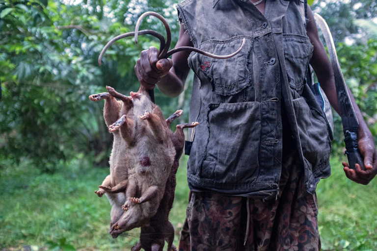 Man holding a machete and rats by the tails