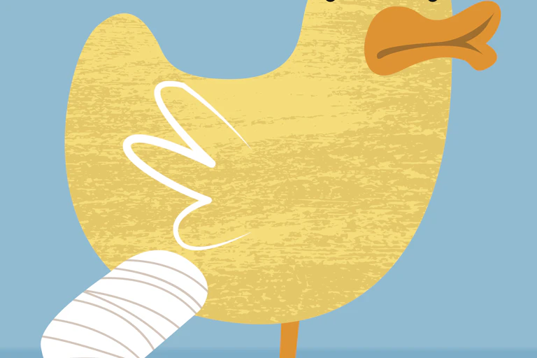 A drawing of a duck with bandages on one leg.