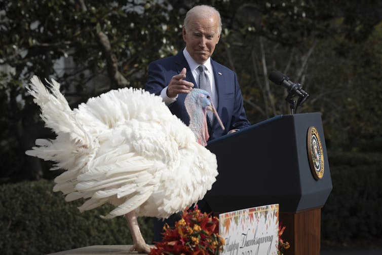 A man in a suit gestures at a large white bird.