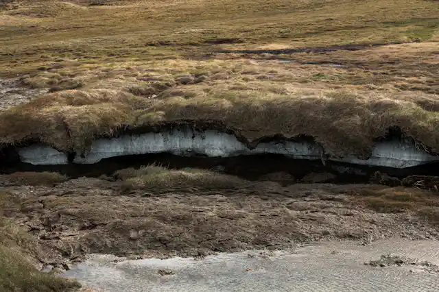 The frozen carbon of the northern permafrost is on the move – we ...