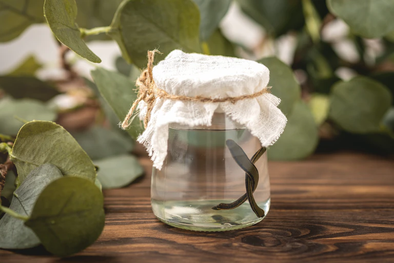 Two leeches in a glass jar