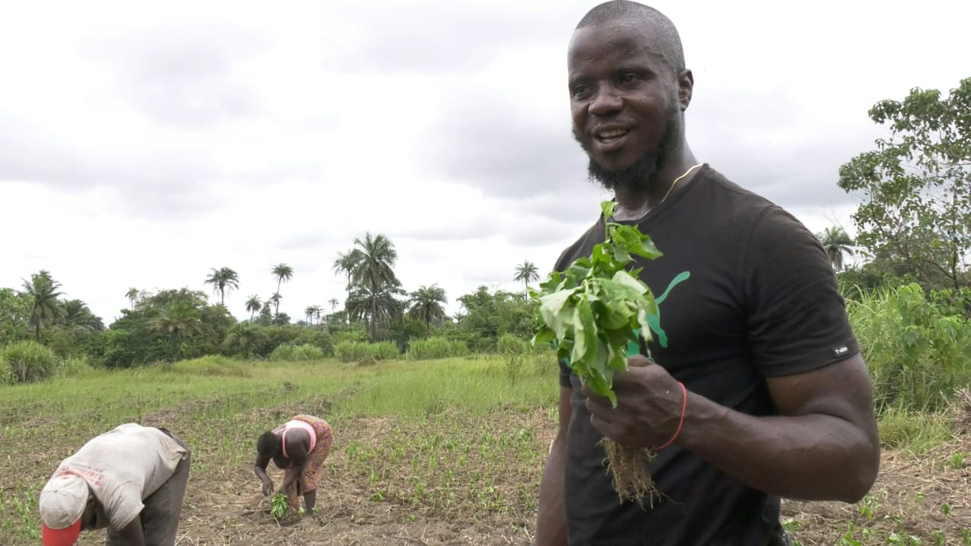 A photo of a man in a farm holding some plants. 