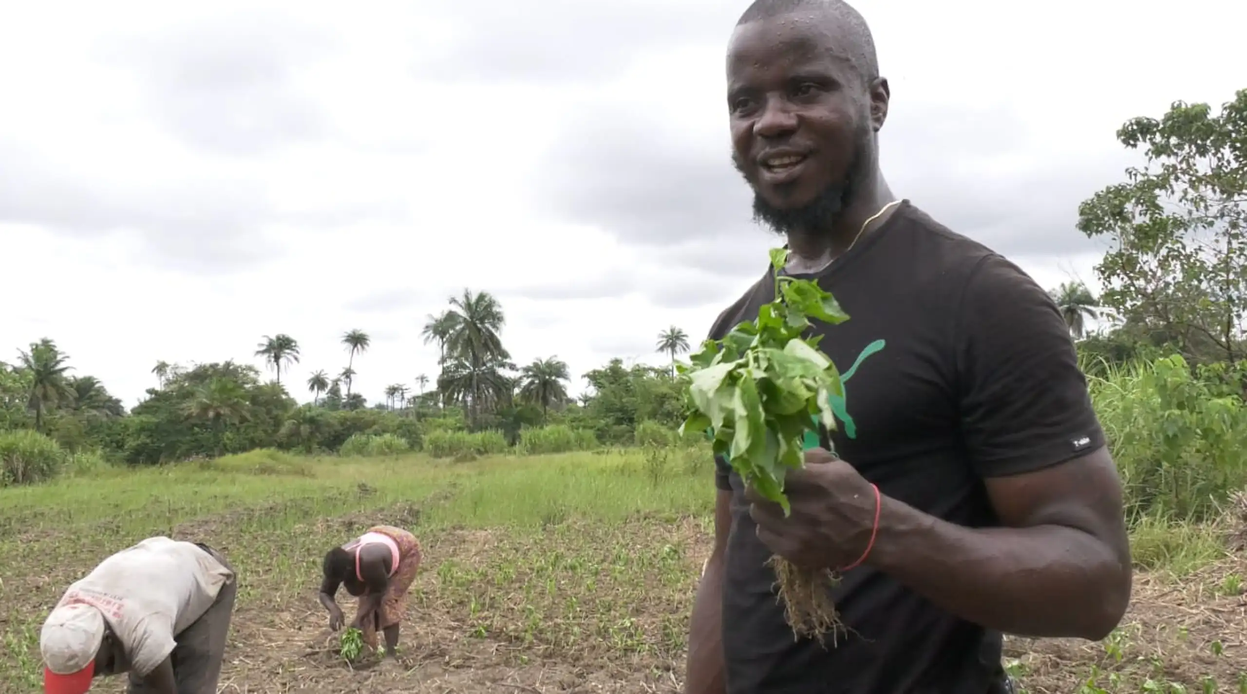 A photo of a man in a farm holding some plants.