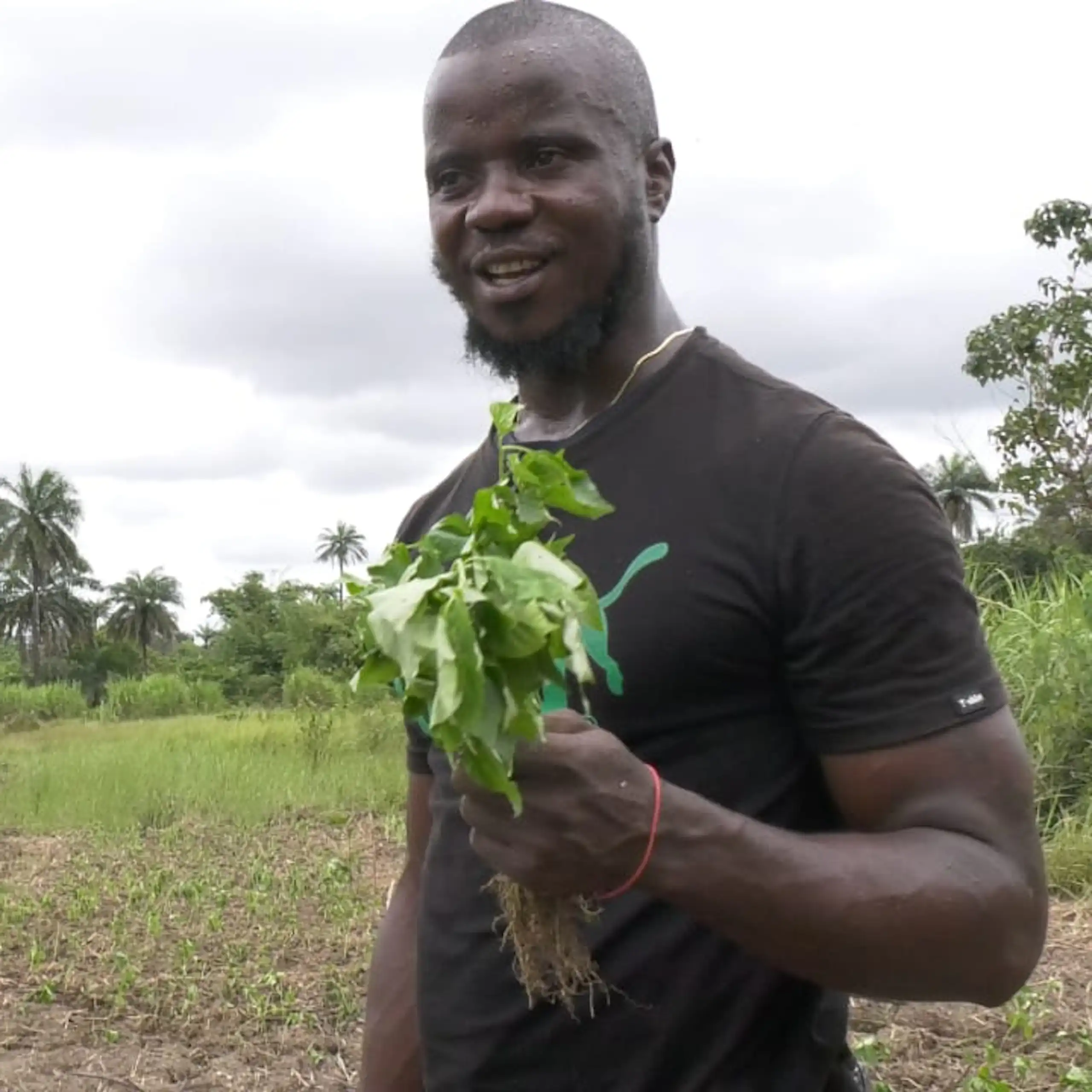 A photo of a man in a farm holding some plants.