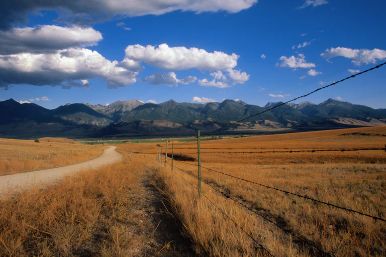 A scenic shot of a cloud-dotted sky, brown grasslands and a barbed wire fence.