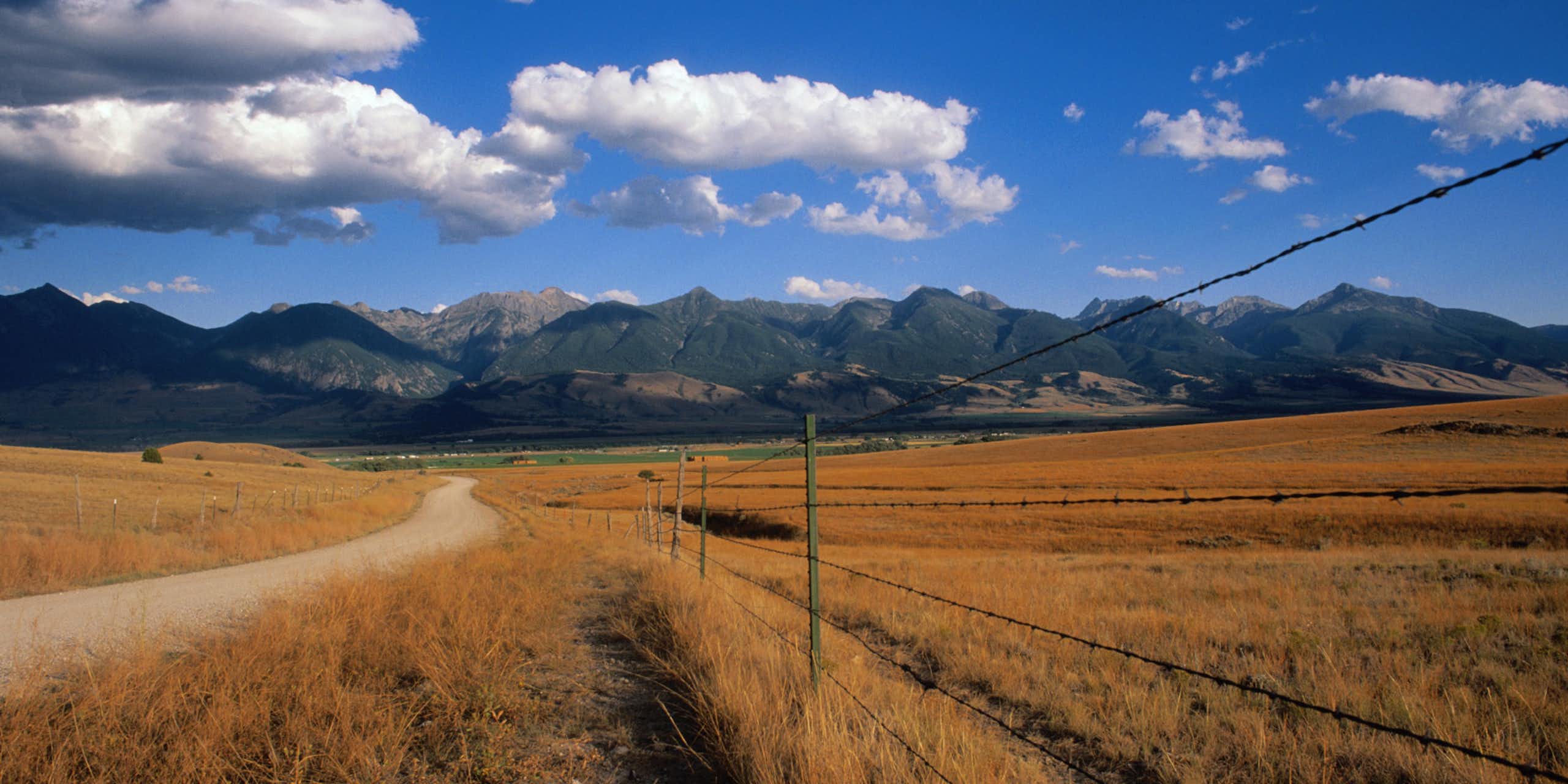 A scenic shot of a cloud-dotted sky, brown grasslands and a barbed wire fence.