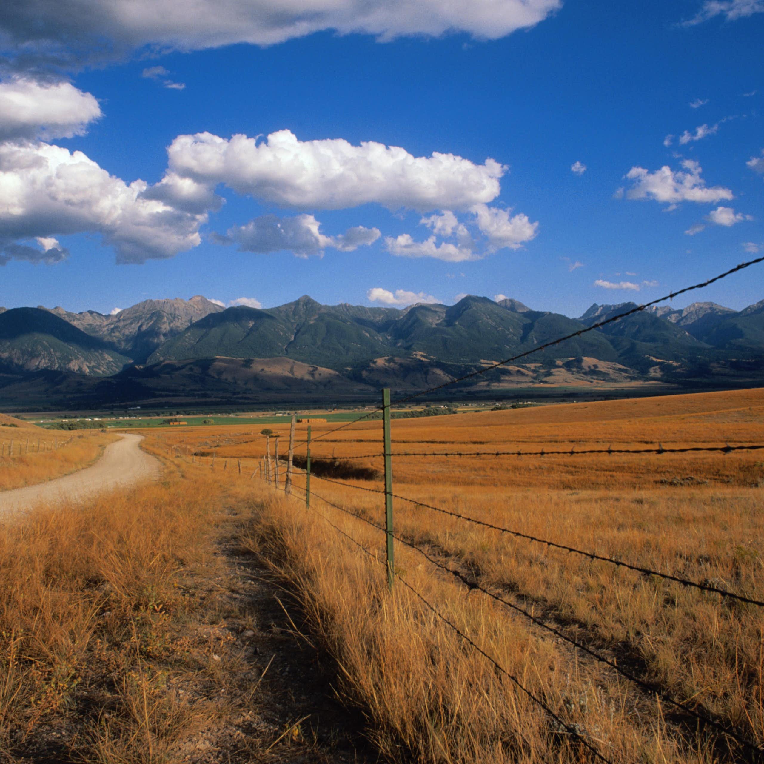 A scenic shot of a cloud-dotted sky, brown grasslands and a barbed wire fence.