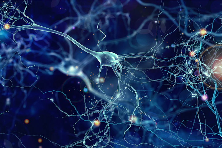 CGI image of neuron cells in a network