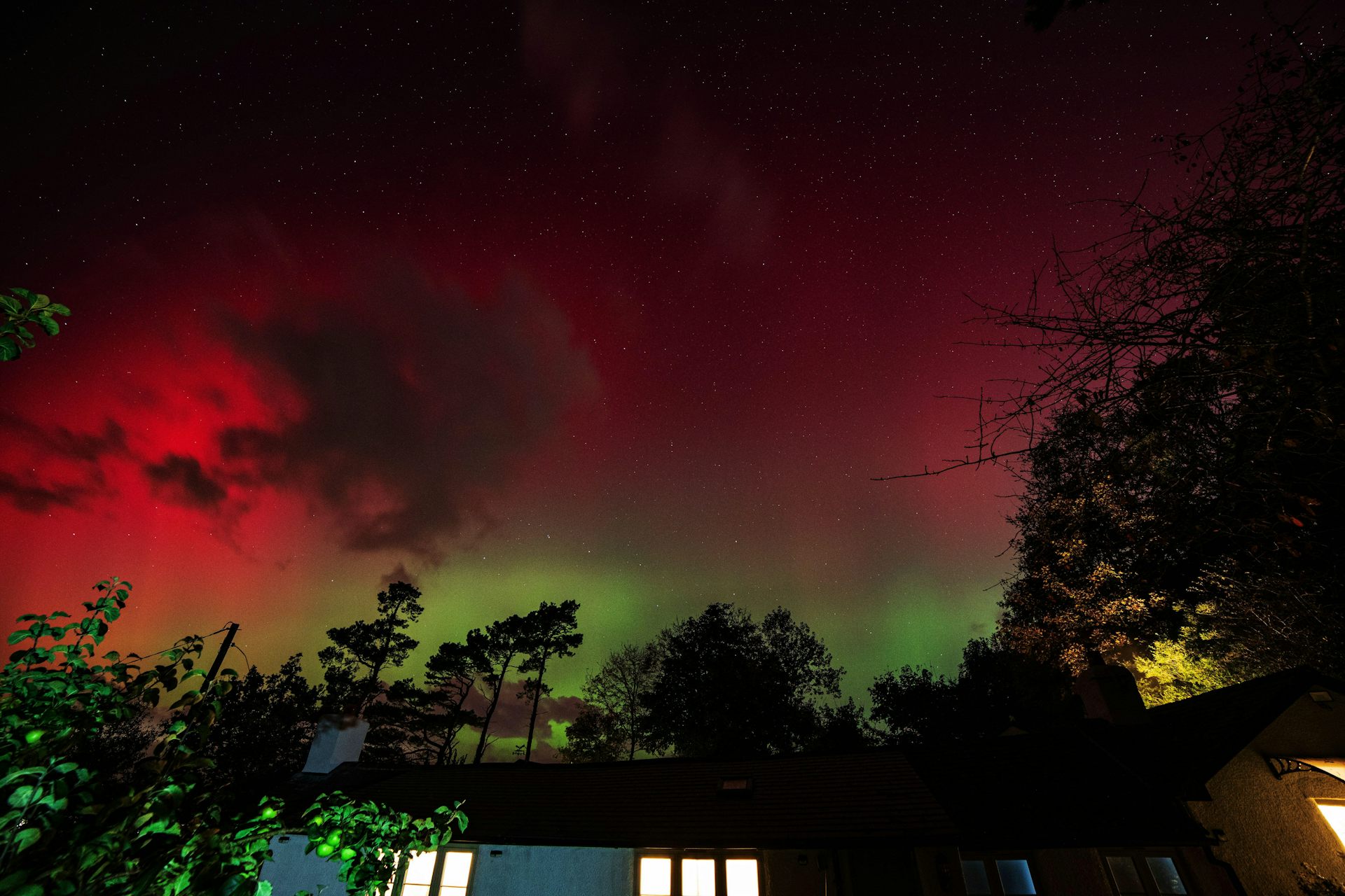 The northern light over trees.