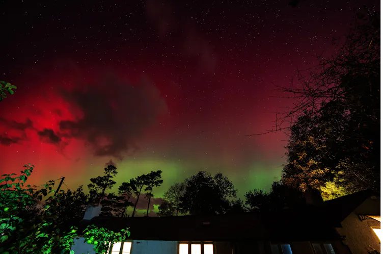 The northern light over trees.
