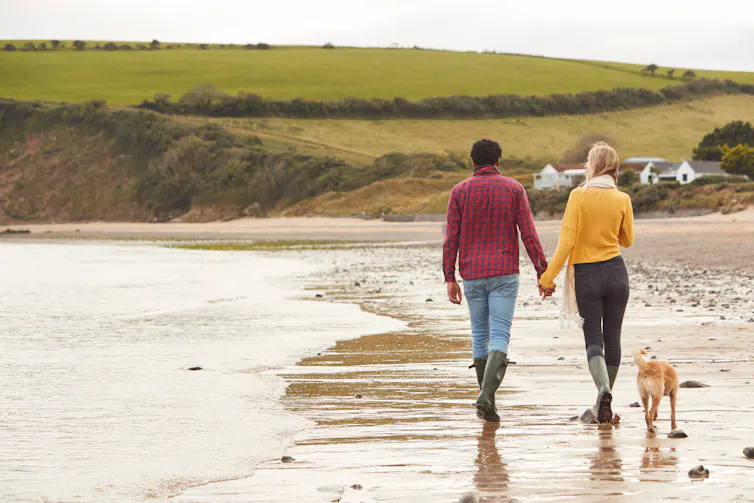 couple with a dog walking along a beach