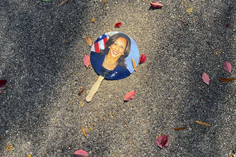A circular photo off a woman wearing a blue blazer is seen on the ground with some leaves surrounding it.